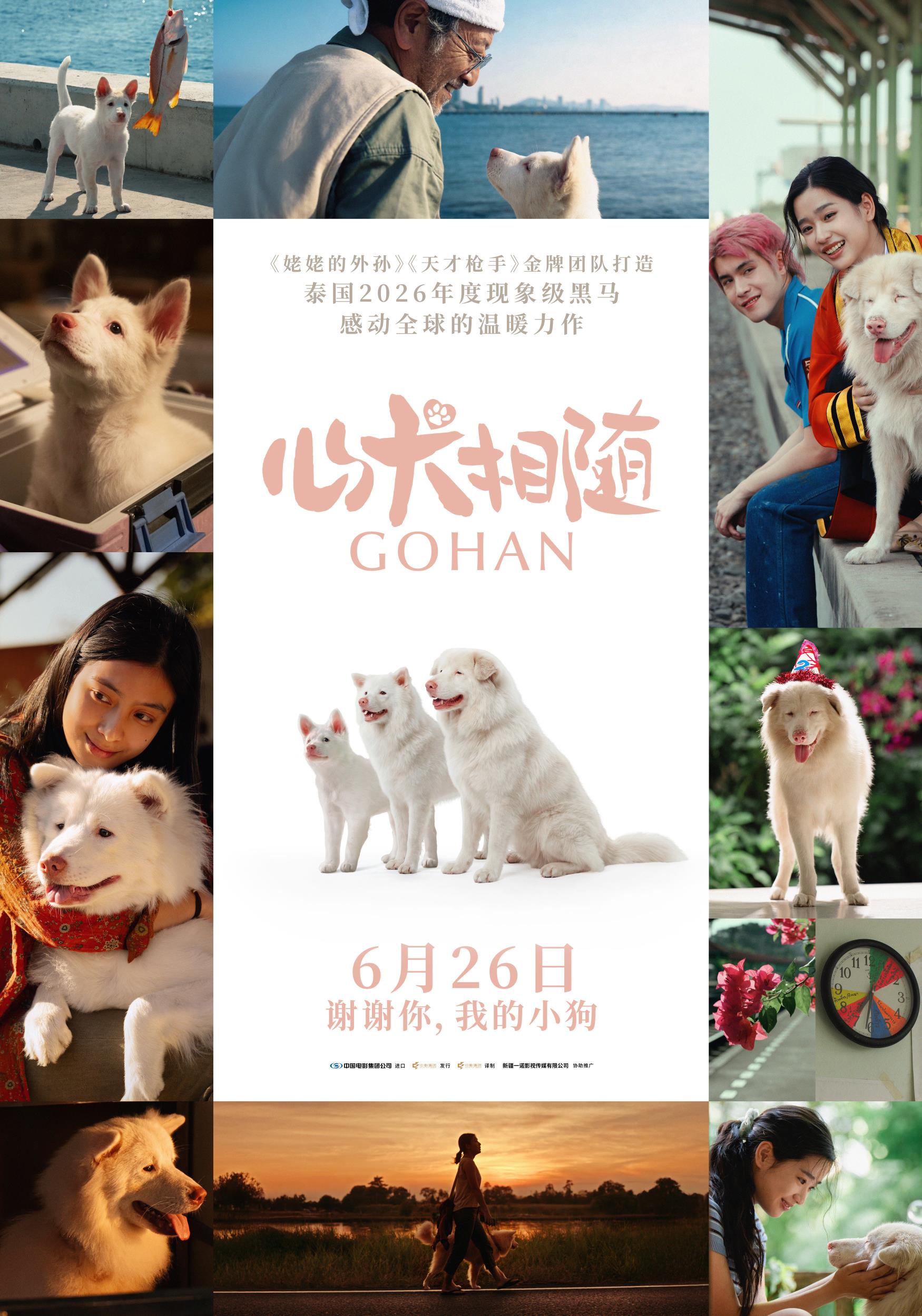 泰国票房爆款电影《心犬相随》定档6月26日温暖治愈感动全球