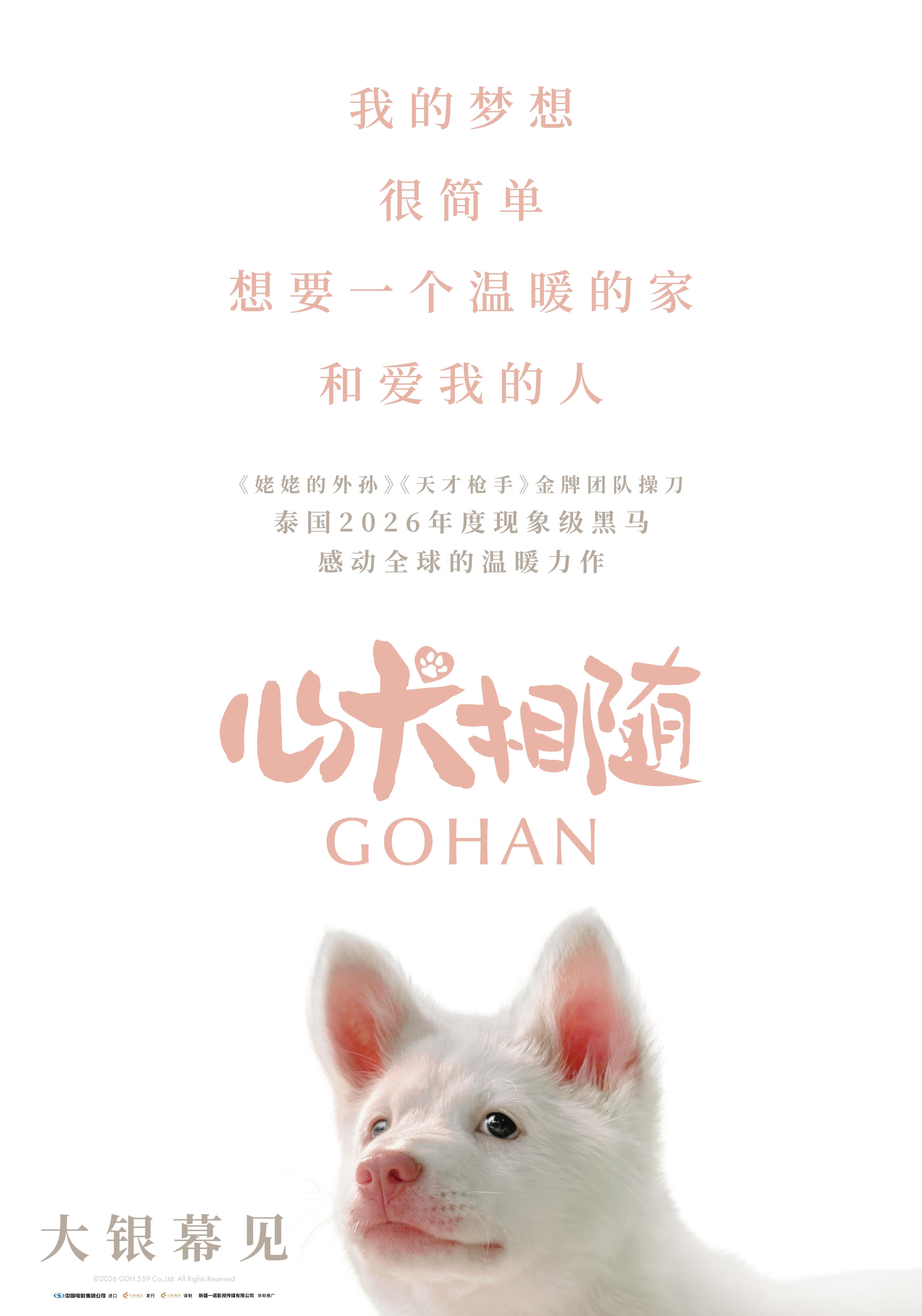 泰国年度票冠《心犬相随》引进内地 粉红桃心鼻小白狗萌翻大银幕